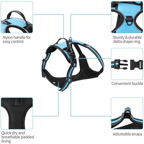 Blue No-Pull Dog Harness with 2 Leash Clips，Soft Padded Vest
