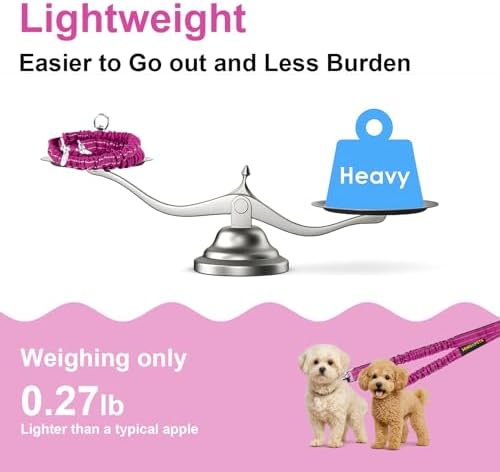 MingXpet 2 Dog Leash, Dog Leash