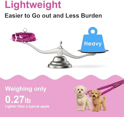MingXpet 2 Dog Leash, Dog Leash