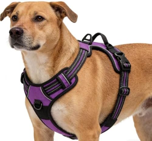 Purple No-Pull Dog Harness