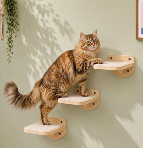 Cat Wall Shelves, Natural Floating Cat Steps Set of 3