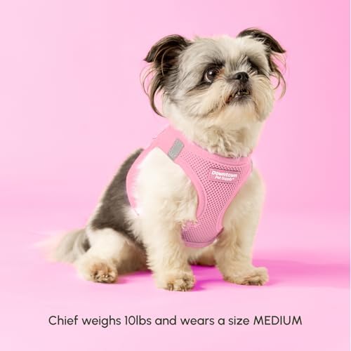 Downtown Pet Supply Step-in Dog Harness – No Pull, Adjustable Padded Mesh