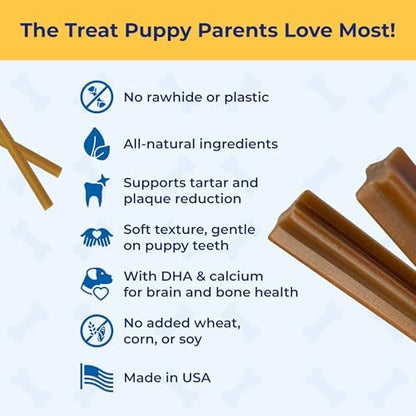 N-Bone Puppy Teething Sticks Variety Pack, Pumpkin & Peanut Butter Flavors