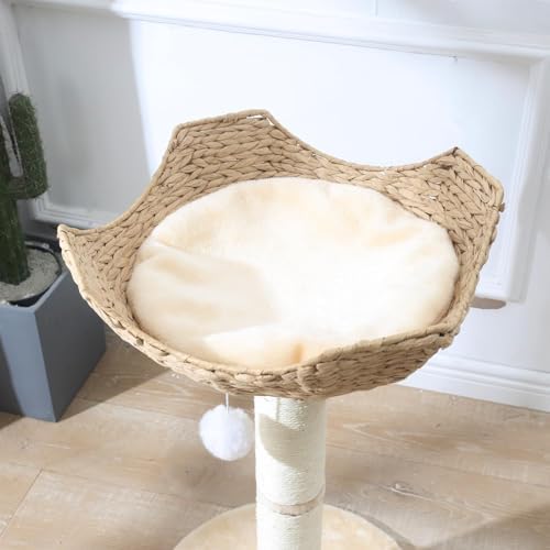 SHENGOCASE 2-Pack Small Cat Tree Tower