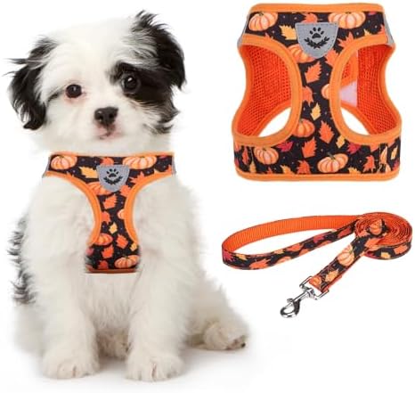 KOOLTAIL Fall Dog Harness and Leash Set