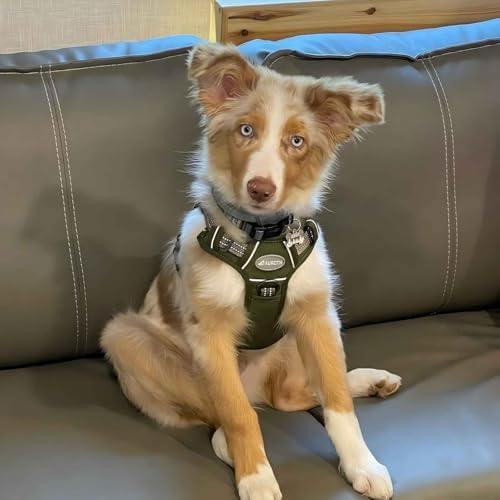 AUROTH Tactical Dog Harness Medium Sized Dog No Pull Adjustable Dog Vest