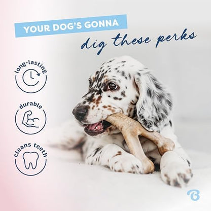 Benebone Puppy 4-Pack Dog Chew Toys