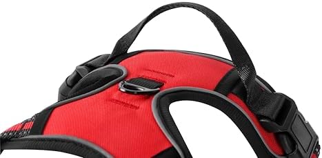Red No-Pull Dog Harness with 2 Leash Clips，Soft Padded Vest