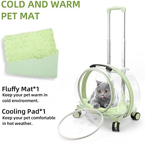 Transparent & Fully Breathable Hard cat Carrier