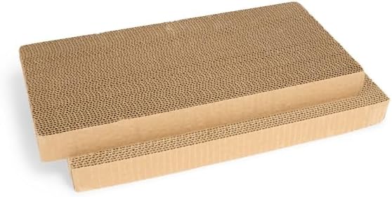 EveryYay by Petco Scratchin' the Surface Double-Wide Cardboard Refills