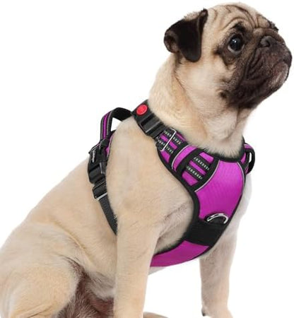rabbitgoo Dog Harness Small Sized, No Pull 3 Buckles Easy On & Off