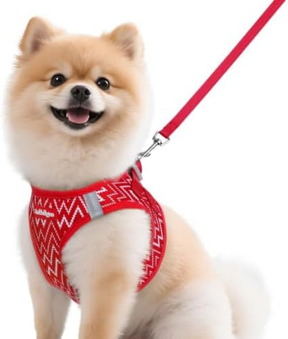 rabbitgoo Dog Harness Small Sized and Leash Set, Step in Soft Vest