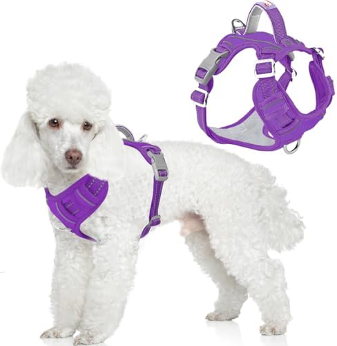 BARKBAY No Pull Dog Harness for Small Sized Dogs, ID Tag Holder Dog Vest