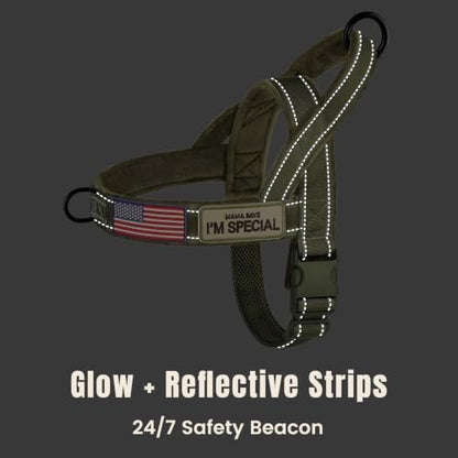 Forestpaw No Pull Dog Harness