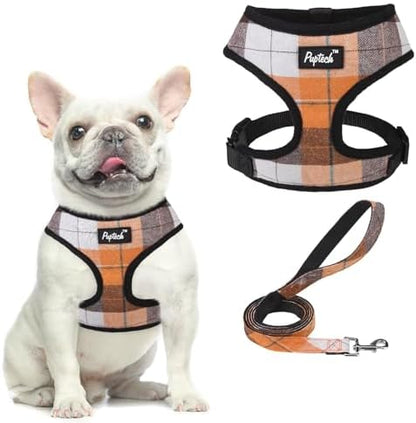 PUPTECK Small Dog Harness and Leash Set No Pull
