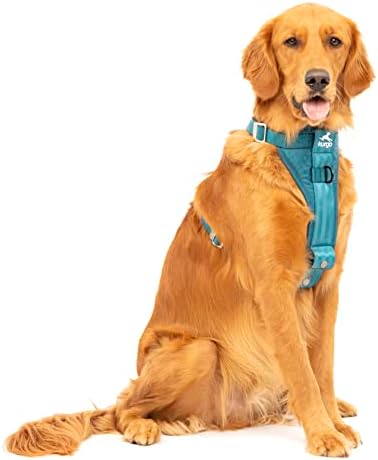 Kurgo Ink Blue Large Dog Harness