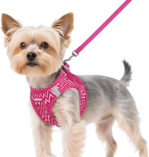 rabbitgoo Dog Harness Small Sized and Leash Set, Step in Soft Vest