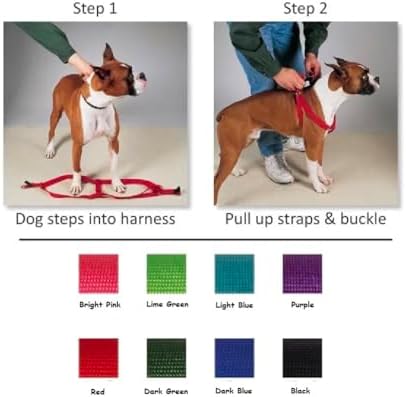 Dog Harness Easy to Use 2 Step Secure Safe Comfortable Firm No Struggle Pull