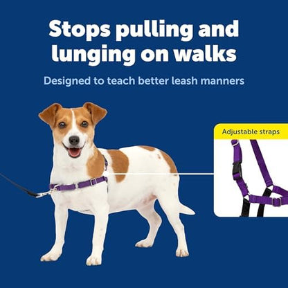 PetSafe Easy Walk Harness, No Pull Dog Harness, Deep Purple