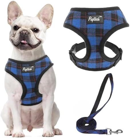 PUPTECK Small Dog Harness and Leash Set No Pull