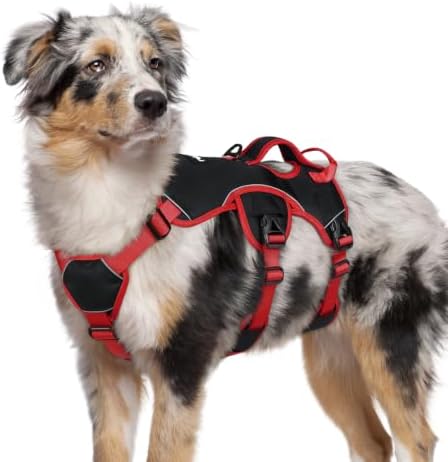 rabbitgoo Escape Proof Dog Harness