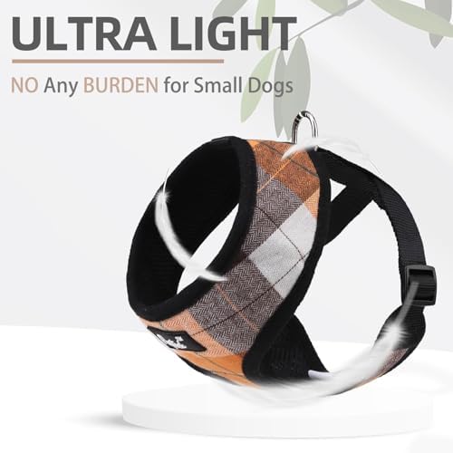 PUPTECK Small Dog Harness and Leash Set No Pull