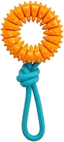 Dental Chew Wheel Durable Dog Toy, Tug & Chew, Mint Scent
