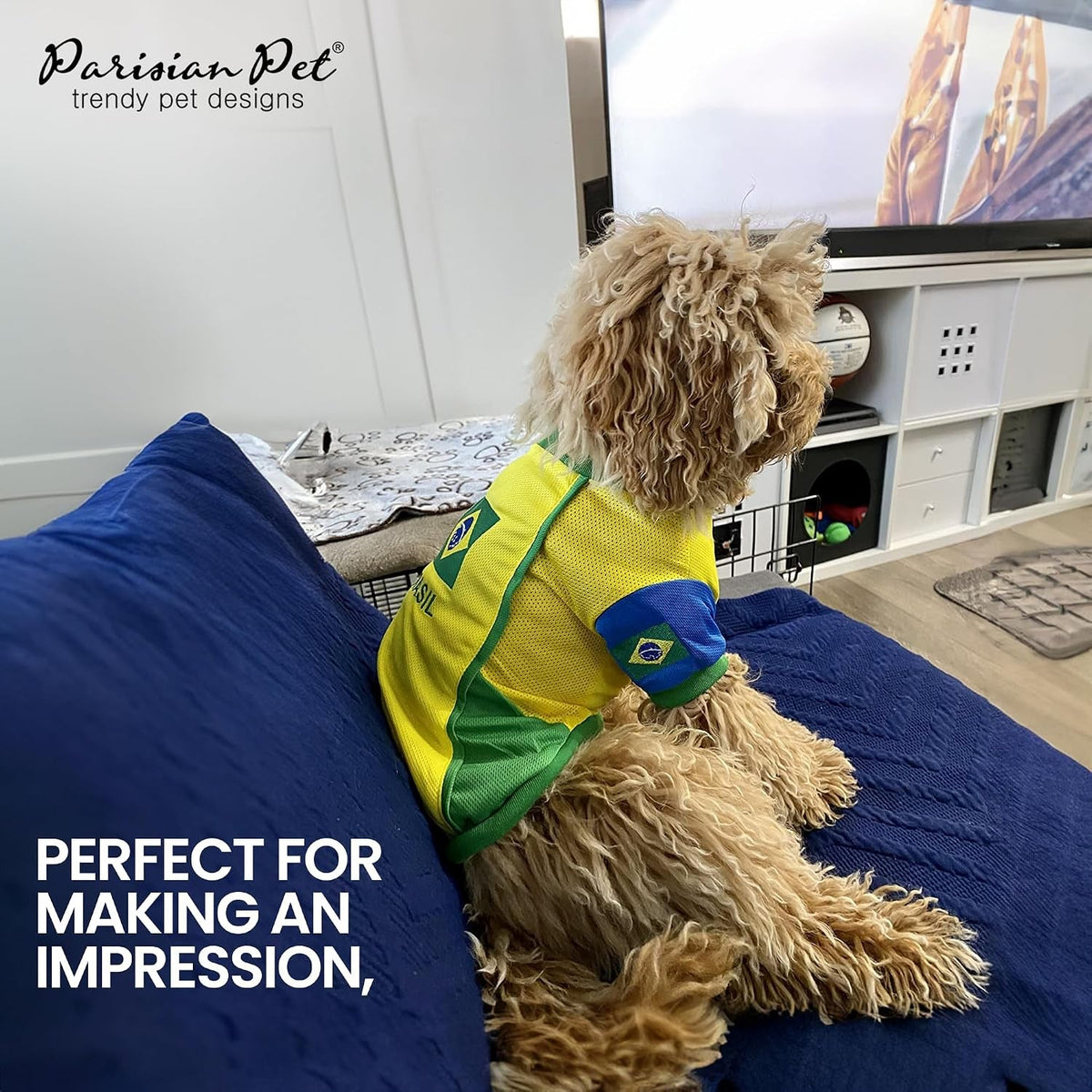 Parisian Pet Soccer Jersey for Dogs – Breathable Mesh Team Jersey, XS–5XL