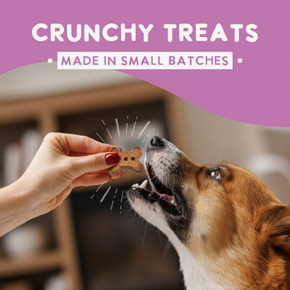 Oven Baked Lamb Treats