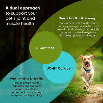 Joint & Muscle Health (Medium & Large Dogs)