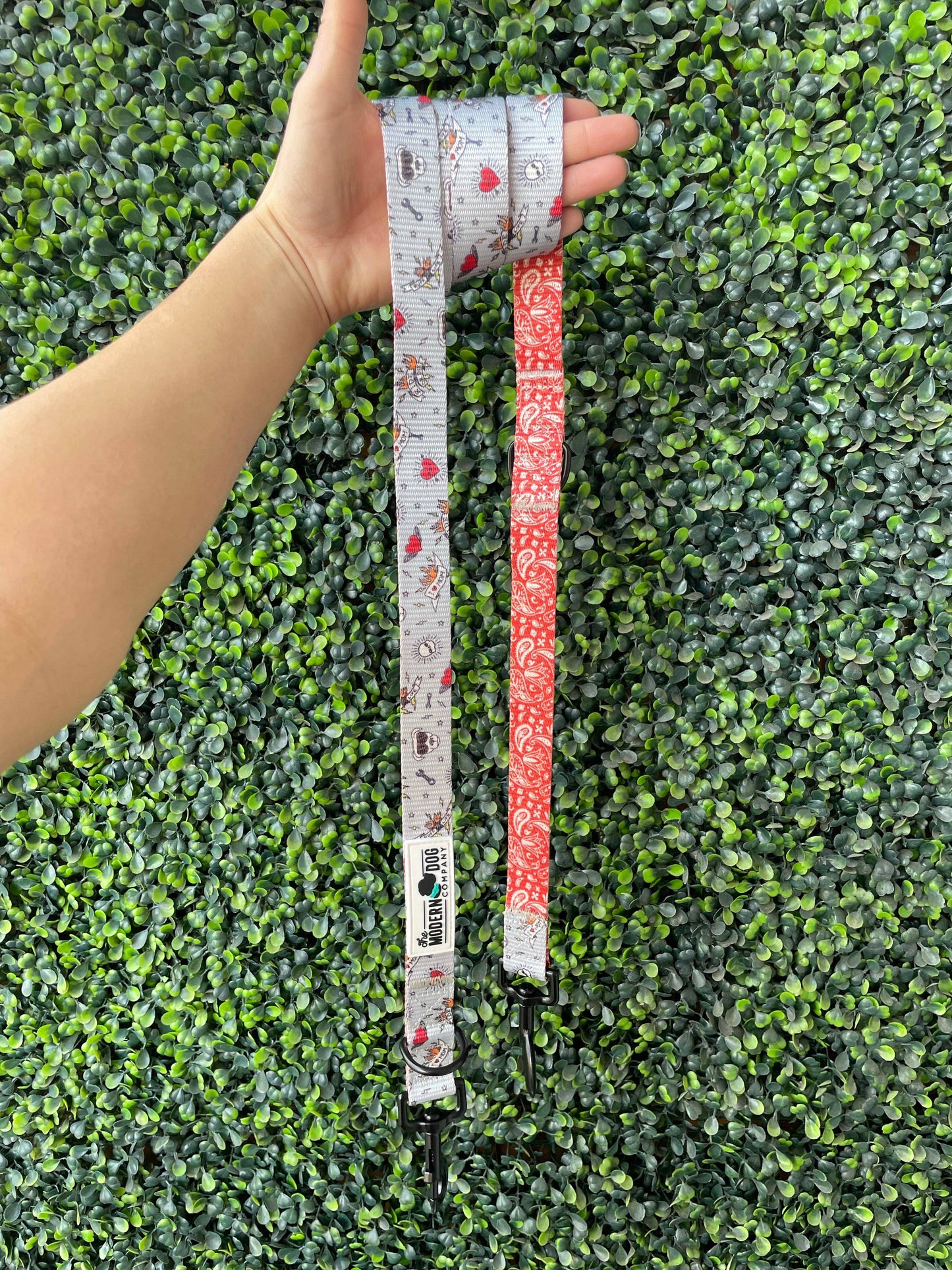 The Modern Dog Company - Bad to the Bone Leash