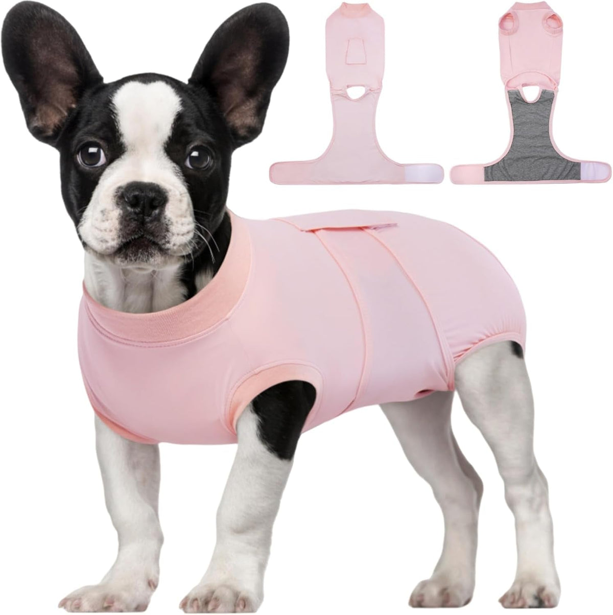 Female Dog Recovery Suit After Spay, XS–2XL