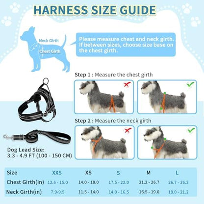 SlowTon No Pull Small Dog Harness and Leash Set