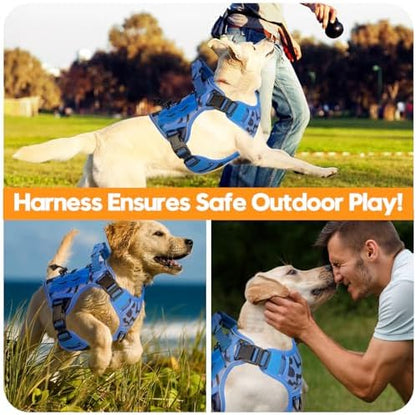 Heavy-Duty Tactical Dog Harness