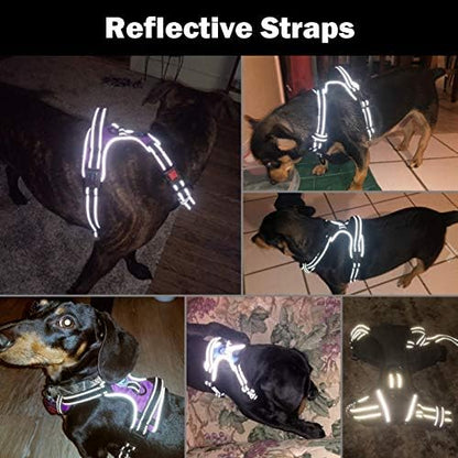 PHOEPET No Pull Dog Harness for Small Dogs Reflective Adjustable Front Clip