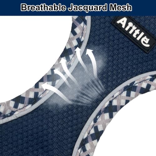 AIITLE XXS Dog Harness & Leash Set