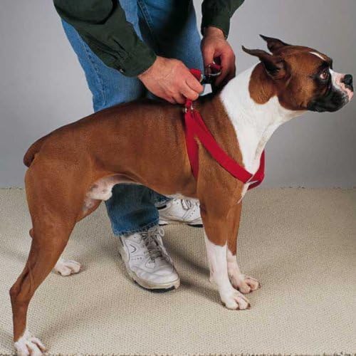 HDP Step in Harness Dog Pet Walk Adjustable