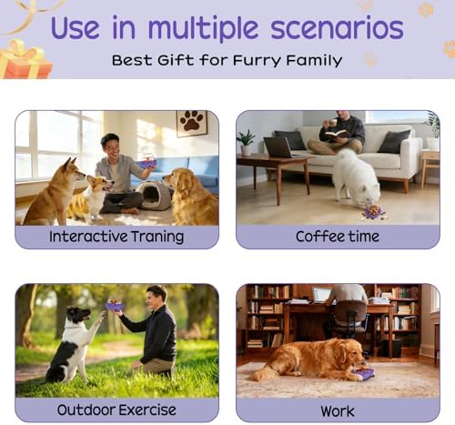 BoYoYo Interactive Dog Puzzle Toy