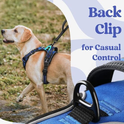 rabbitgoo Dog Harness Medium Sized, Updated Easy On & Off