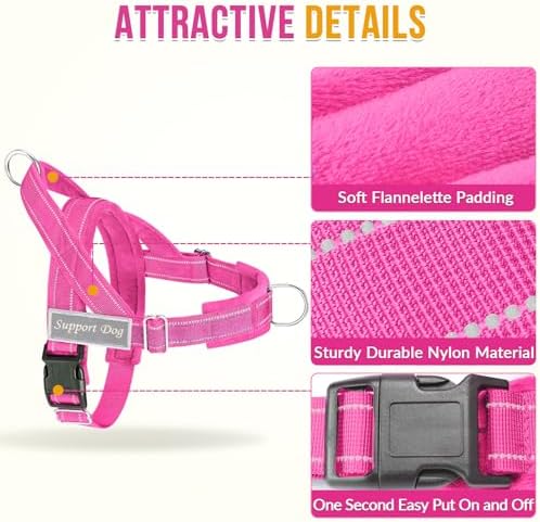SlowTon No Pull Dog Harness and Leash Set