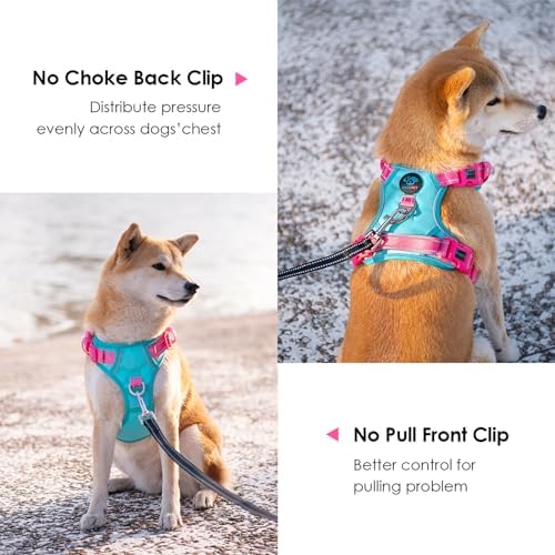 PHOEPET No Pull Dog Harness, Unique Colors Reflective Adjustable Dog Vest