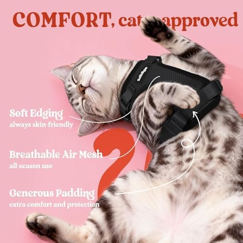 rabbitgoo Cat Harness and Leash Set, Escape Proof Vest