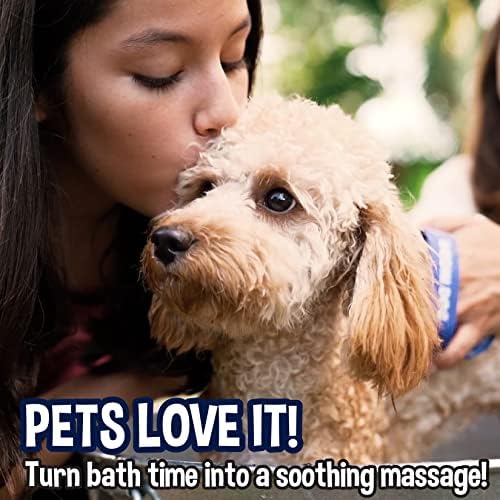 Bodhi Dog Grooming Bundle