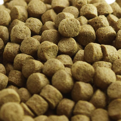 Plant Based Koi Fish Food | Wheat Germ Koi Food, All Season, Medium Floating and Sinking Pellets, 11 lbs (Medium/Floating)