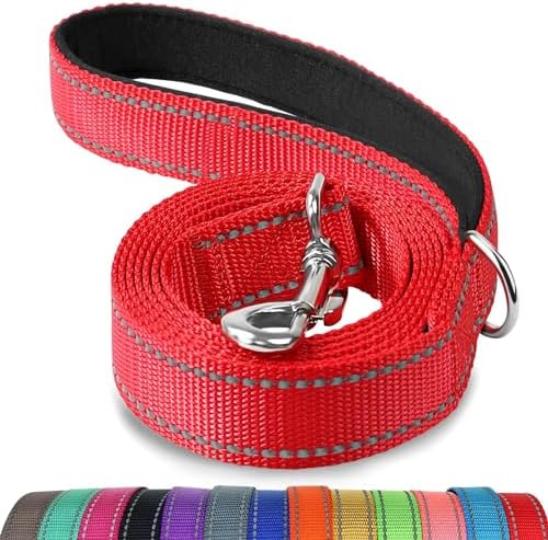 Joytale Reflective Dog Leash for Medium & Large Dogs, 4 FT x 1"