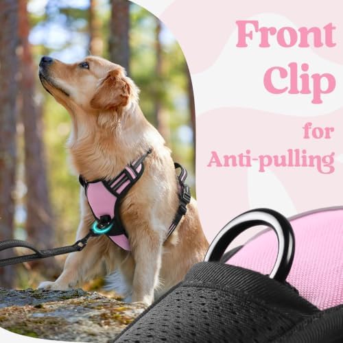 rabbitgoo Dog Harness for Large, Updated Easy On & Off