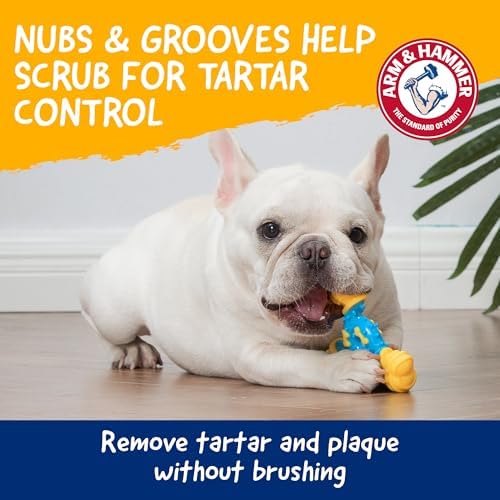 Arm & Hammer Nubbies TriBone Dental Dog Chew Toy, Peanut Butter