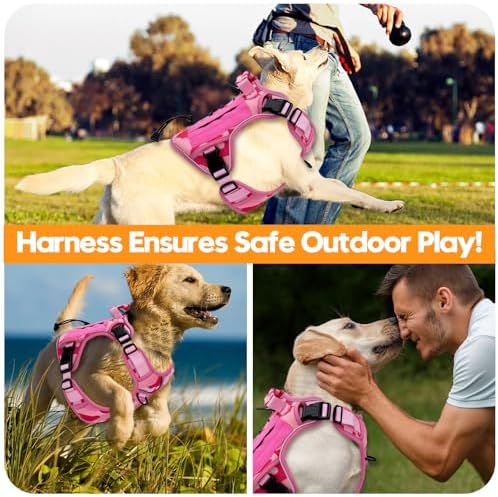 Heavy-Duty Tactical Dog Harness
