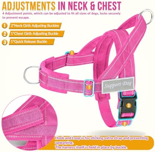 SlowTon No Pull Dog Harness and Leash Set