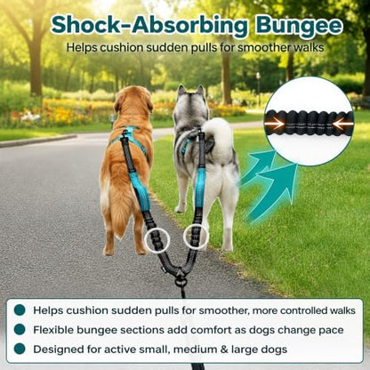 wikiRay Double Dog Leash Coupler
